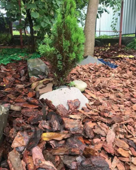 Кора сибирской лиственницы крупная 5-10см (60л) 