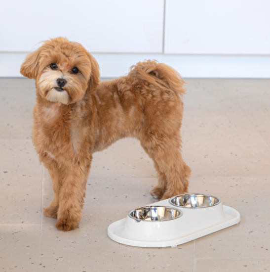 Миска для животных 0,3л двойная (с металлической чашей) ALTA (белый) М9160