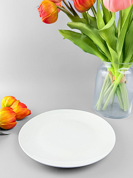 Тарелка плоская керамика OLS-BZP75-W-1