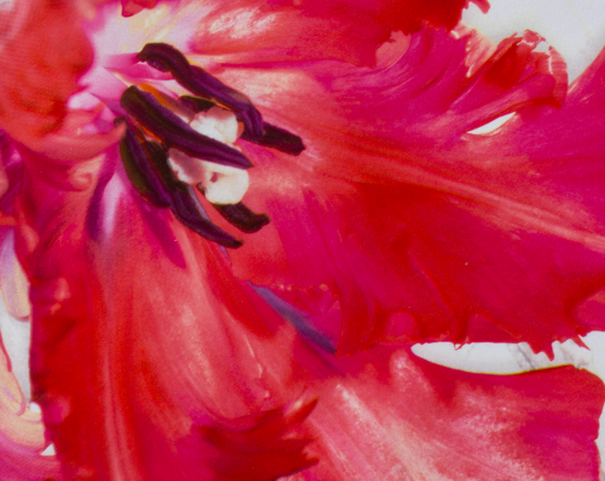 Клеенка уДачная, 130 см, 81060, Цветочная аллея 15557