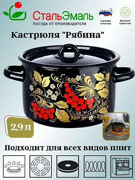 Кастрюля цил. 2,9л 1с16с/1 черн. Рябина Кастрюля цил. 2,9л 1с16с/1 черн. Рябина