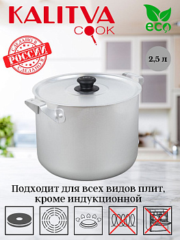 14025 Кастрюля 2,5л 
