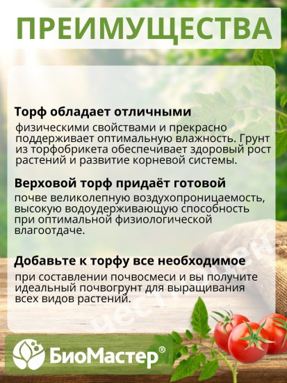 Торфобрикет 10л Верховой торф раскисленный БИОМАСТЕР