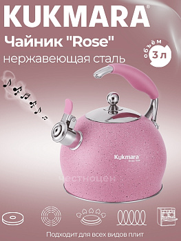 Чайник из нержавеющей стали, со свистком,3л, ROSE Ч-05