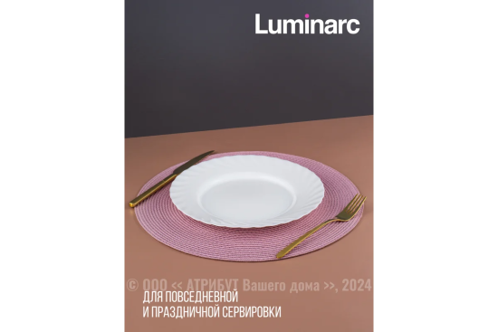 Тарелка обеденная ТРИАНОН 24.5см X2625