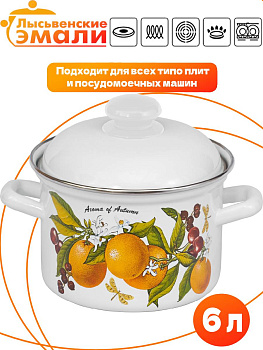 Кастрюля 6,0л 16184 АП2 "Фруктовая фантазия"
