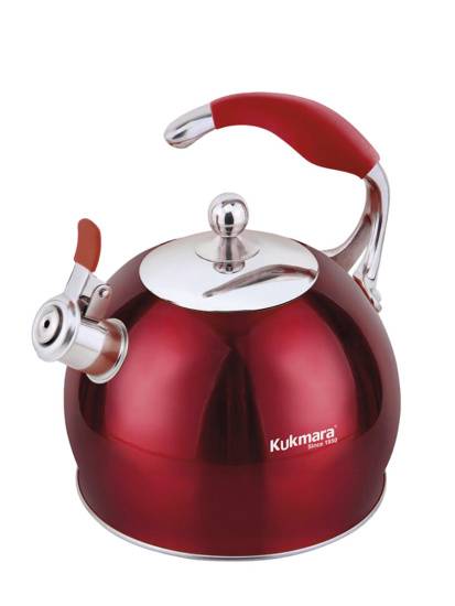 Чайник из нержавеющей стали, со свистком,3л,RED Ч-01