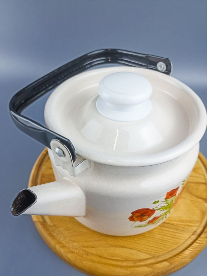 Чайник для плиты 2,0 л. (Июнь) (С-2710П2/4Жм)