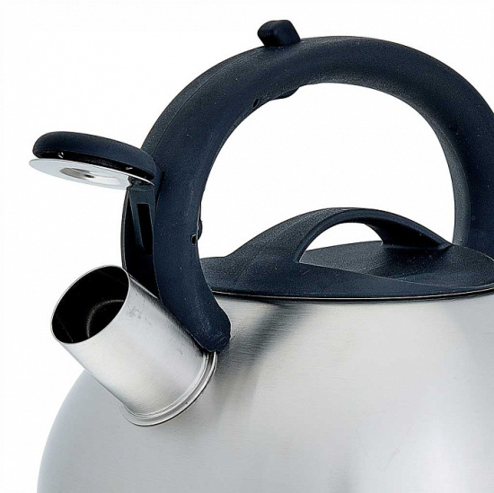 Чайник для плиты 3,0л нержавеющая сталь WEBBER ВЕ-0587 со свистком сатин 