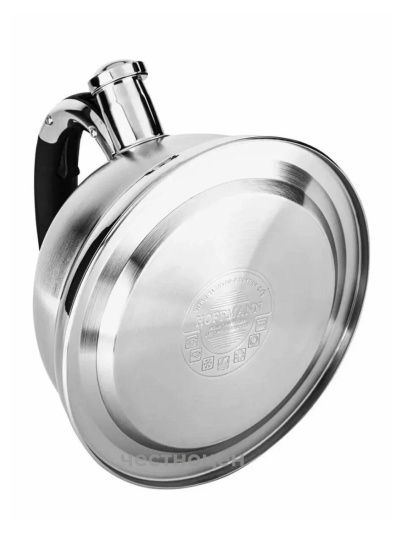 Чайник для плиты 3,3л НМ 5549-5 со свистком, с шильдиком