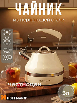 Чайник со свистком 3,0л матовый, бежевая ручка НМ 55234