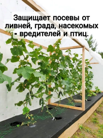 Укрывной материал 80мкм 3,2*10м белый Укрывной материал 80мкм 3,2*10м белый
