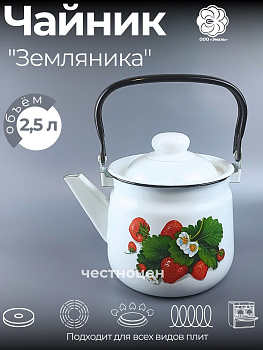 Чайник для плиты 2,5л 01-2711/4-Земляника