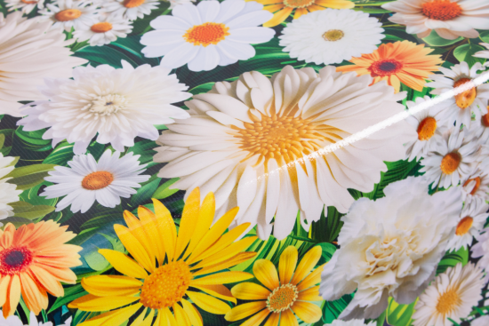 Клеенка 140см Глянец Луговые ромашки GX-227А