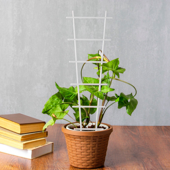 Шпалера пластик 56 х 19 х 0.5 см, Микс, "Лесенка"