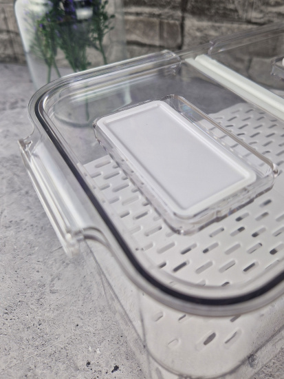 Ящик для хранения с крышкой 2,8л 23,3*14,7*12,2см ПЭТ OLS-DM-50