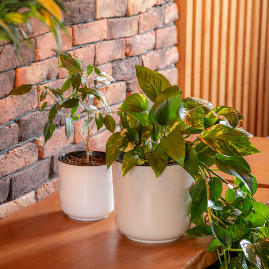 Горшок цв. "Линель" 6л двойной (бежевый) М8705