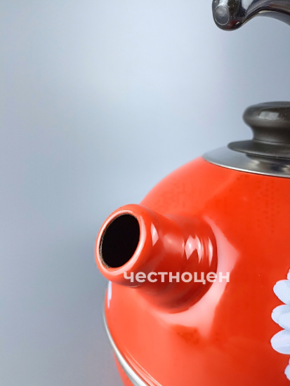 Чайник 3,5л.(конс.ручка)бордовый/ромашки(нерж. сталь) индивидуальная упаковка РT04/35/01/14 