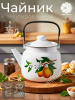 Чайник для плиты 3,5л 01-2713/4 Лимоны