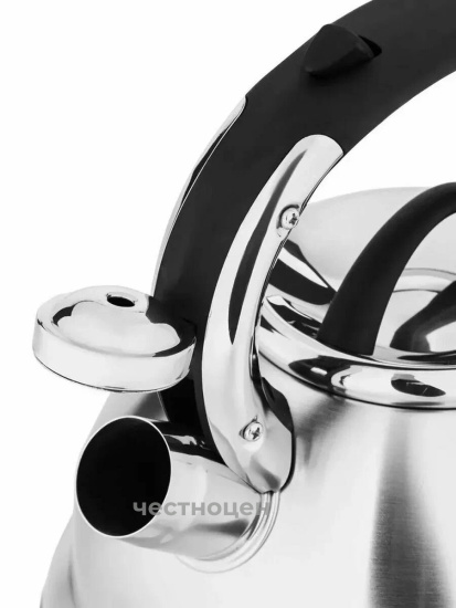 Чайник для плиты 3,3л НМ 5549-5 со свистком, с шильдиком