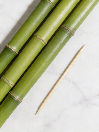 Зубочистки 200 шт бамбук пластиковая уп. OLS-135-4