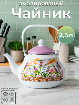 Чайник TK121-2.5л OLS-409-4