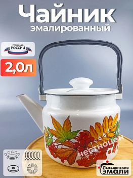 Чайник для плиты 2,0 л "Рябина" С-2710П2/4Жм