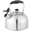 ЧАЙНИК AGNESS СО СВИСТКОМ 2,5 Л,НЖС ИНДУКЦИЯ (937-904)