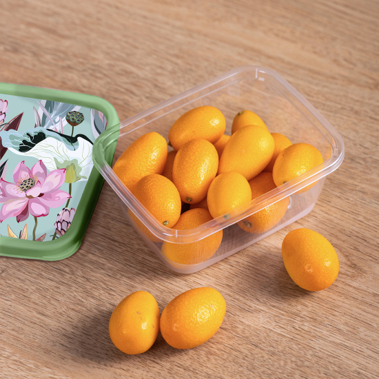 Контейнер для продуктов прямоугольный 0,85л с декором (зеленый) 222132118/08 Контейнер для продуктов прямоугольный 0,85л с декором (зеленый) 222132118/08