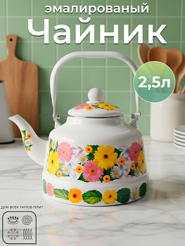 Чайник TK505-2.5л OLS-409-5