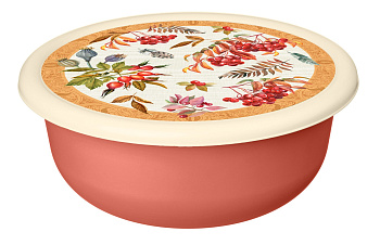 Миска 2,1л с крышкой с декором (оранжевый) 222143305/04