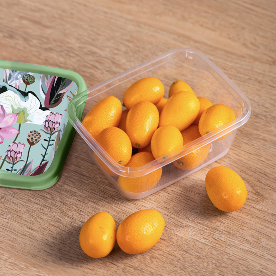 Контейнер для продуктов прямоугольный 0,5л с декором (зеленый) 222132018/08 Контейнер для продуктов прямоугольный 0,5л с декором (зеленый) 222132018/08