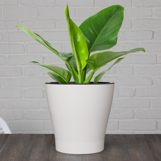 !!!Горшок цв. "Лея" 5,0л двойной (с автополивом) М7933, М7936, М7930