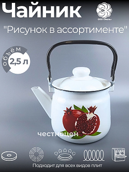 Чайник для плиты 2,5 л 01-2711/4