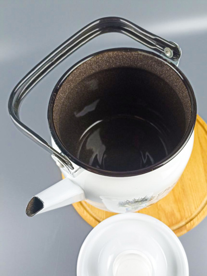 Чайник для плиты 3,5л С-2713П2/4Рч "Пикник"