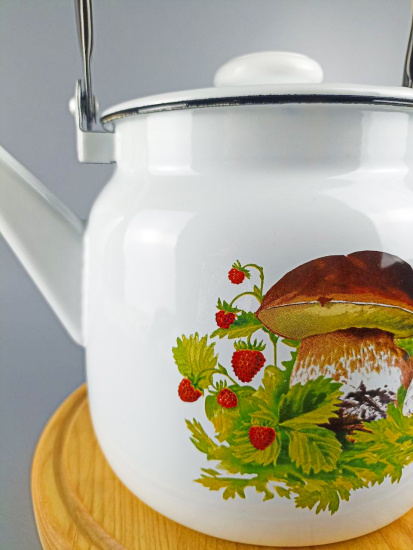 Чайник для плиты 3,5л С-2713П2/4Рч "Грибная поляна" 