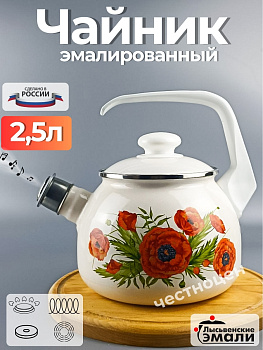 Чайник для плиты 2,5 л. (Июнь) С-2711АП/4Жм