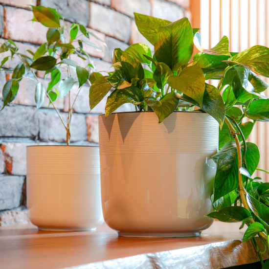 Горшок цв. "Линель" 6л двойной (белый) М8704