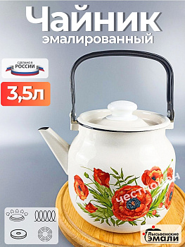 Чайник для плиты 3,5 л. (Июнь) (С-2713П2/4Жм)