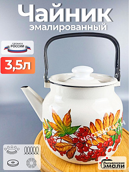 Чайник для плиты 3,5л "Рябина" С-2713П2/4Жм