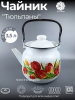 Чайник для плиты 3,5л 01-2713/4 Тюльпаны
