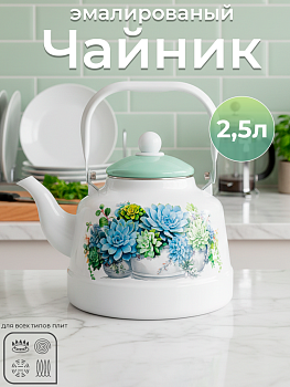 Чайник TK505-2.5л OLS-409-3