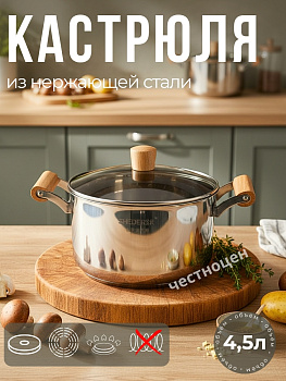 Кастрюля 22см нерж. с деревянными ручками OLS-410-6