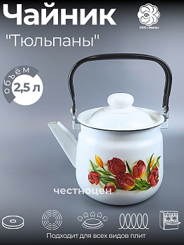 Чайник для плиты 2,5л 01-2711/4-Тюльпаны