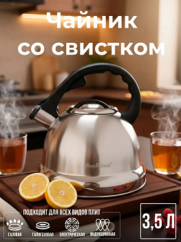 Чайник нерж. OLS-HR760-8