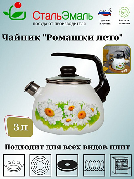 Чайник для плиты 3,0л 4с209я Ромашки лето белосн. сф. со св.