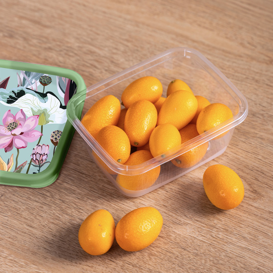 Контейнер для продуктов прямоугольный 1,5л с декором (зеленый) 222132218/08 Контейнер для продуктов прямоугольный 1,5л с декором (зеленый) 222132218/08