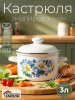 Кастрюля 3,0л С-1612АП2/4 Ромашковое поле