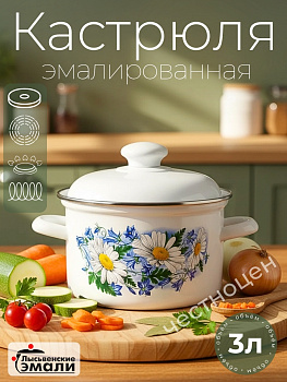 Кастрюля 3,0л С-1612АП2/4 Ромашковое поле