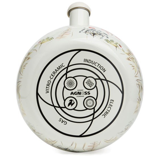 ЧАЙНИК AGNESS ЭМАЛИРОВАННЫЙ СО СВИСТКОМ СЕРИЯ "СНЕГИРИ", 2,2Л, ИНДУКЦИОННОЕ ДНО (934-749)